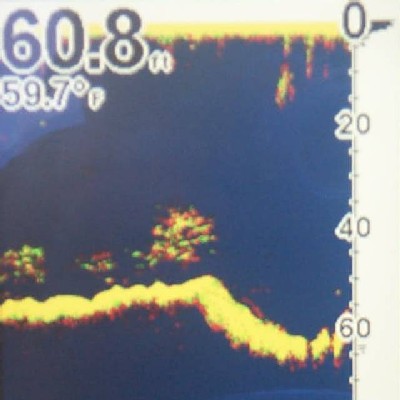 marine electronics sonar fish finder
