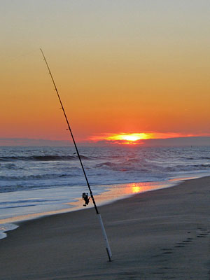 surf fishing sunrise