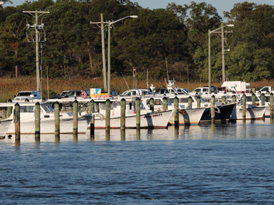 chesapeake bay fishing charter boats