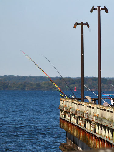 kent island matapeake pier fishing