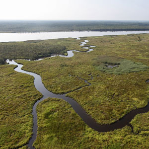 nanticoke river maryland