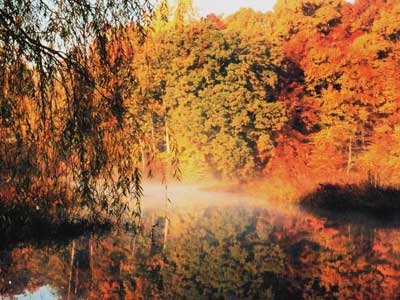 patuxent river scenery