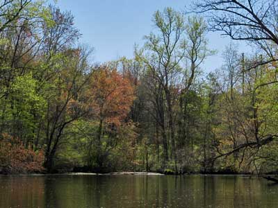 Tuckahoe Creek - Hillsboro MD