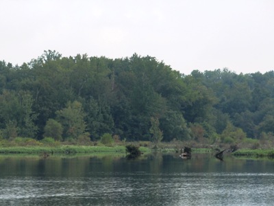 tuckahoe lake