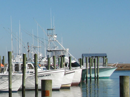 wachapreague virginia fishing boats