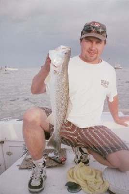 gray trout, aka weakfish or seatrout