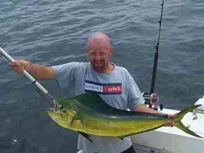 dolphinfish or Mahi Mahi