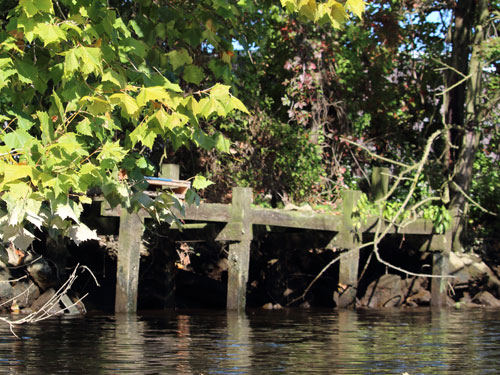 wooden dock