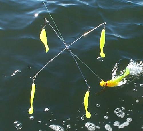 Umbrella Rigs for Striped Bass Fishing –