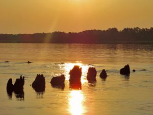 wicomico river whitehaven md