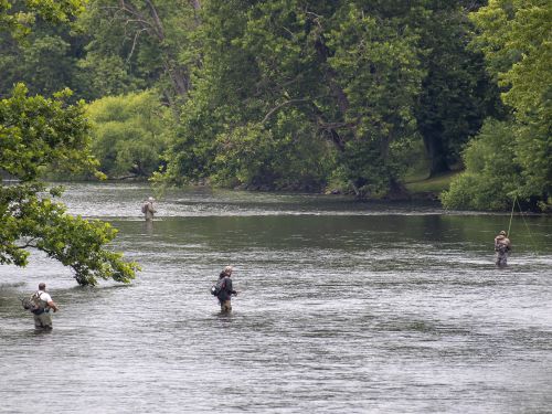 Youghiogheny River dam tailrace