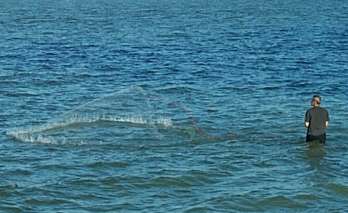 Throwing a cast net to catch live bait